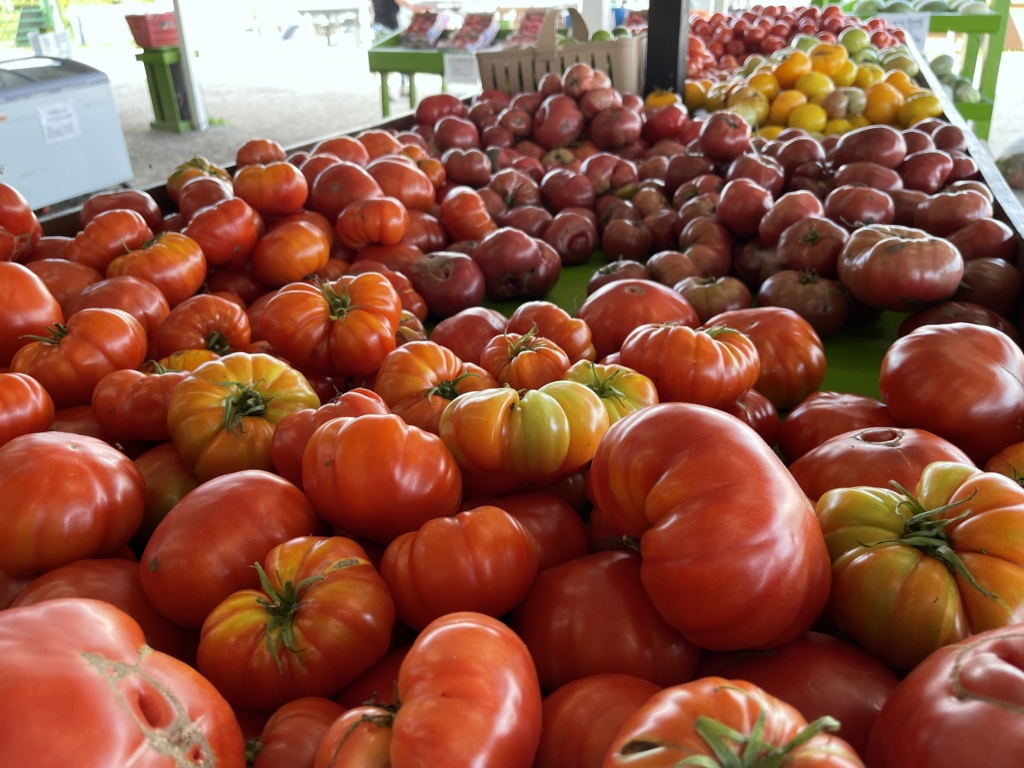 Farmer Mike's U-pick bonita springs