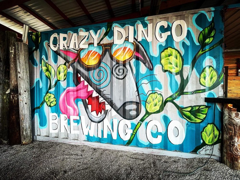 crazy dingos brewing company